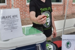 dabbler-sample