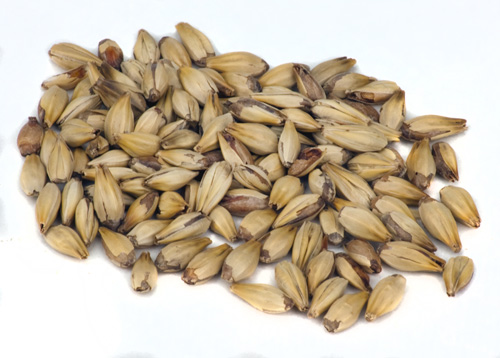 Briess 20L: Crystal Malt 1lb (1)