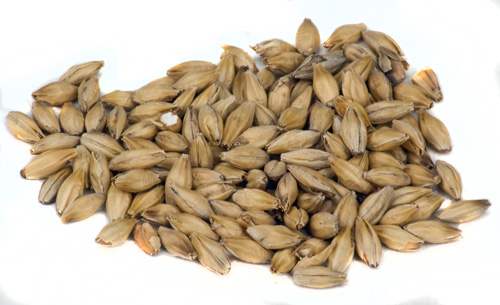 Dingemans :Pale Malt 1 lb. (1)