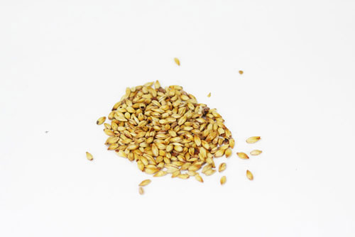 Weyermann Carared: Malt 1lb (1)