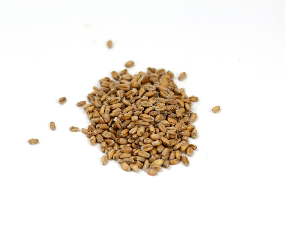 Weyermann Wheat: Malt 55lb bag (1)
