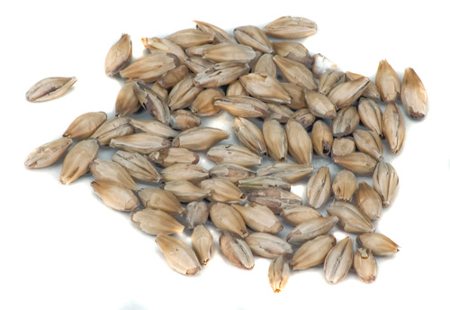 Bestmalt 2-3L Carame:l Malt RG (1)