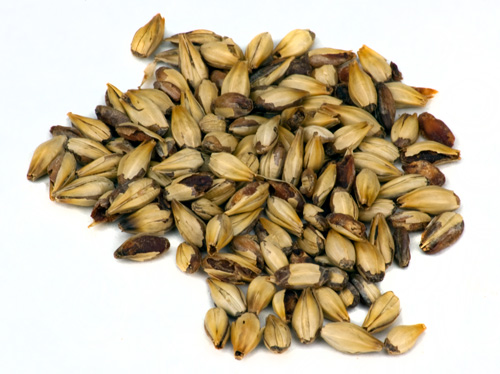 Briess 40L Crystal: Malt 50lb Bag (1)