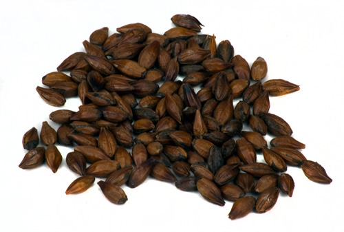 Briess Roasted: Barley 1lb (1)