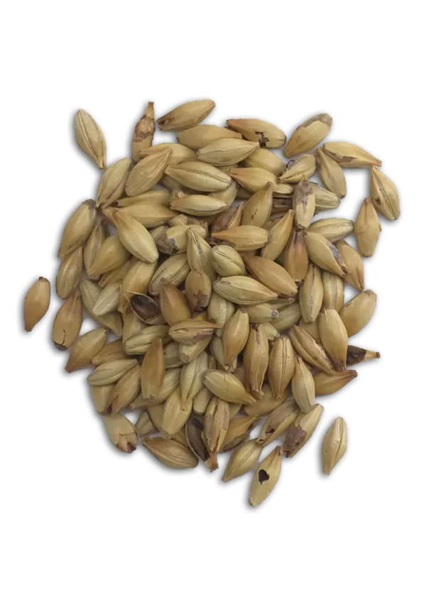Caramunich Malt, Dingemans, Recipe Grains