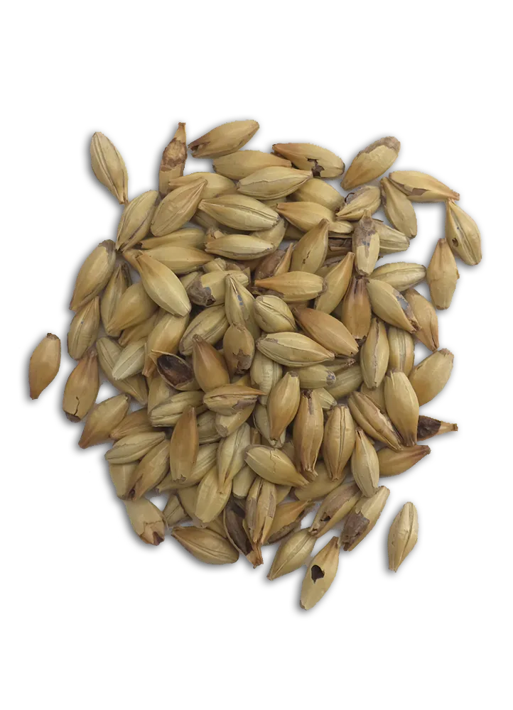 Caramunich Malt, Dingemans, Recipe Grains