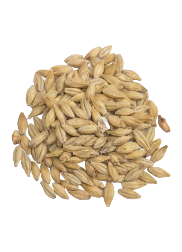 Pale Ale Malt, Dingemans, Recipe Grains