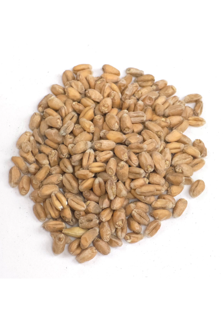 Wheat Malt (Pale), Weyermann, Recipe Grains