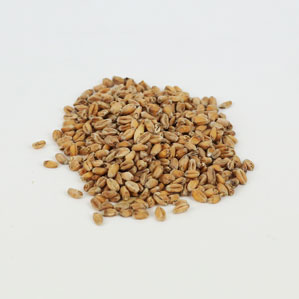 Weyermann Oak Smoked: Wheat 1 lb (1)