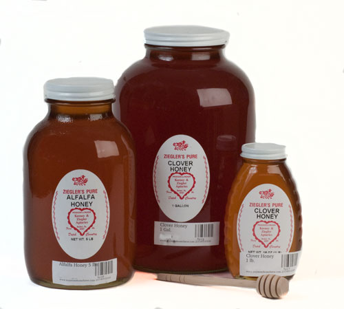 Buckwheat: Honey 1 lb. (1)