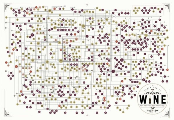 Genealogy of:Wine Poster 39x27 (1)