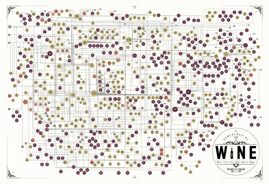 Genealogy of:Wine Poster 39x27 (1)