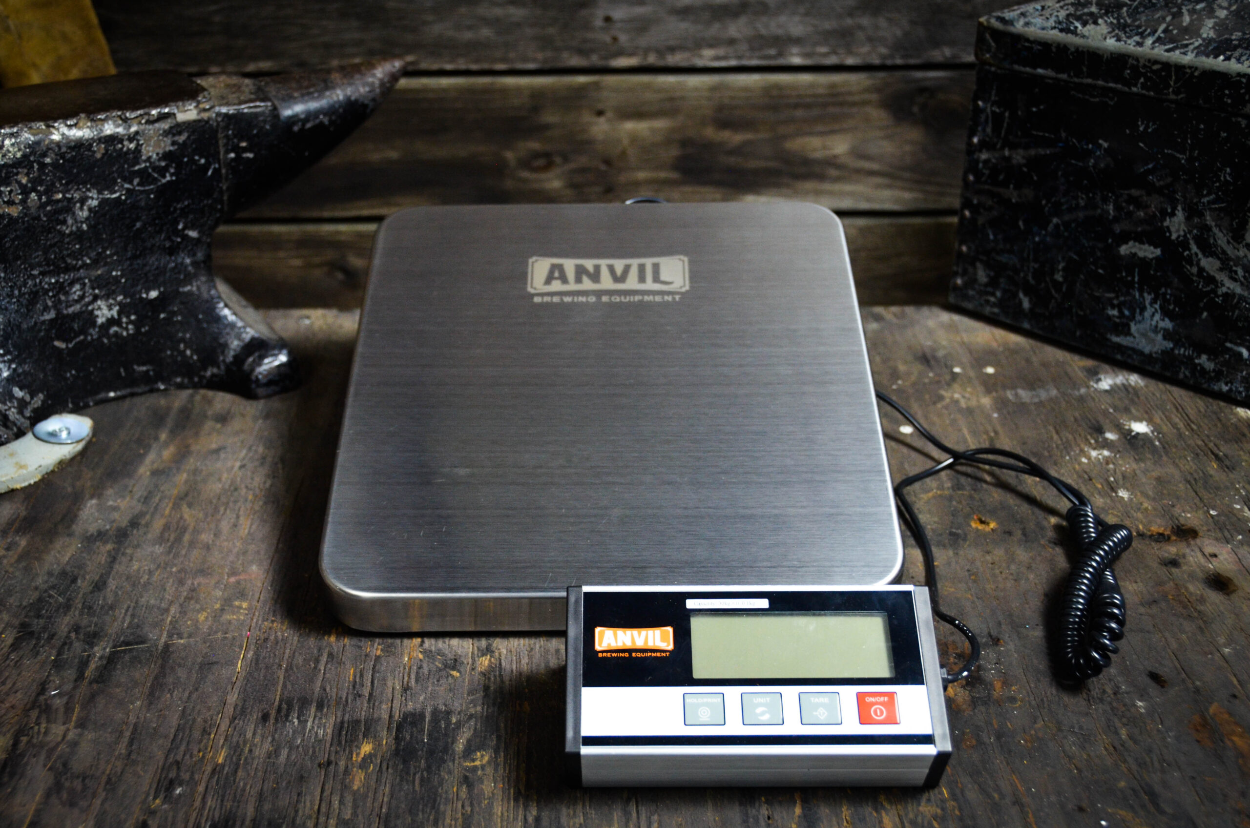 Anvil Scale:Large Grain (1)