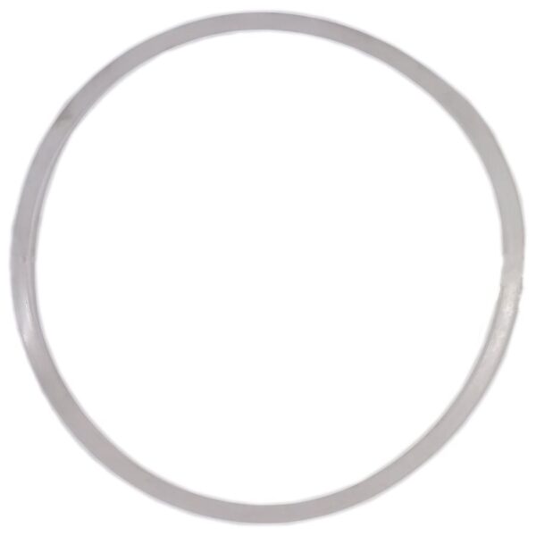 51005 Turbo 500: Lid Gasket (1)