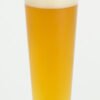 German Gose, All Grain