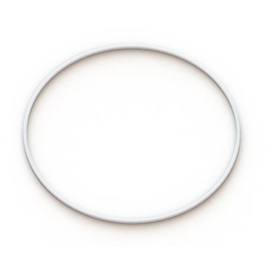 The Grainfather Replacement Filter Seal-0
