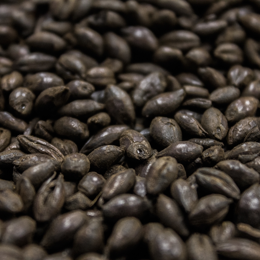 Black Malt, Crisp, 10 lb Bag-0