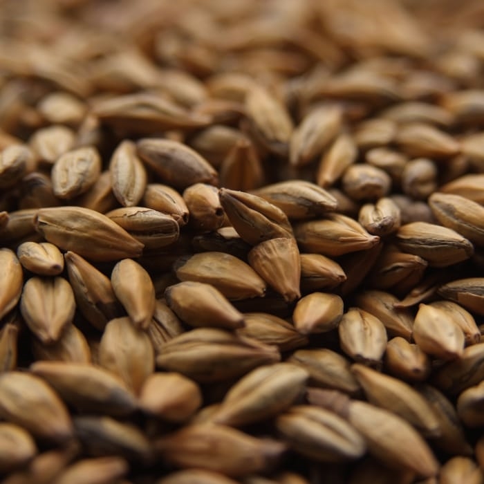 Amber Malt - Crisp 1 lb bag