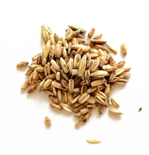 Oat Malt, Proximity, 1 lb