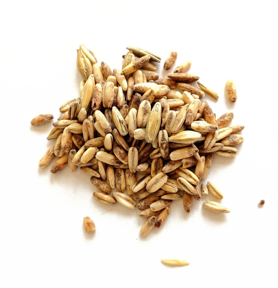 Oat Malt, Proximity, 1 lb