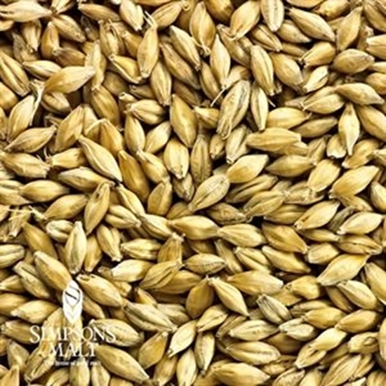 Simpsons Golden Promise, 1 lb.