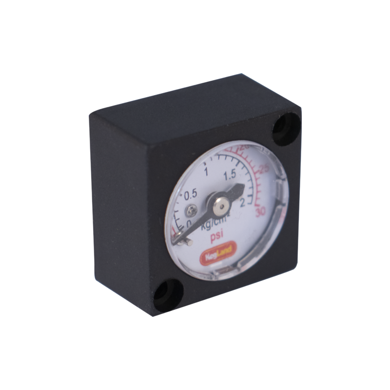 Mini Pressure Gauge 0-30 PSI