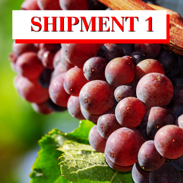 Alicante Grape: 36 lb. box Ship 1