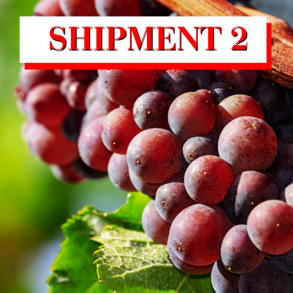 Old Vine Zin: Grape, 36 lb. box Ship 2