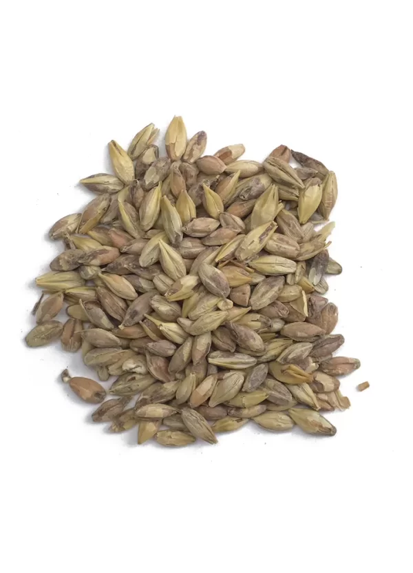 Victory (Toasted), Briess, Recipe Grains