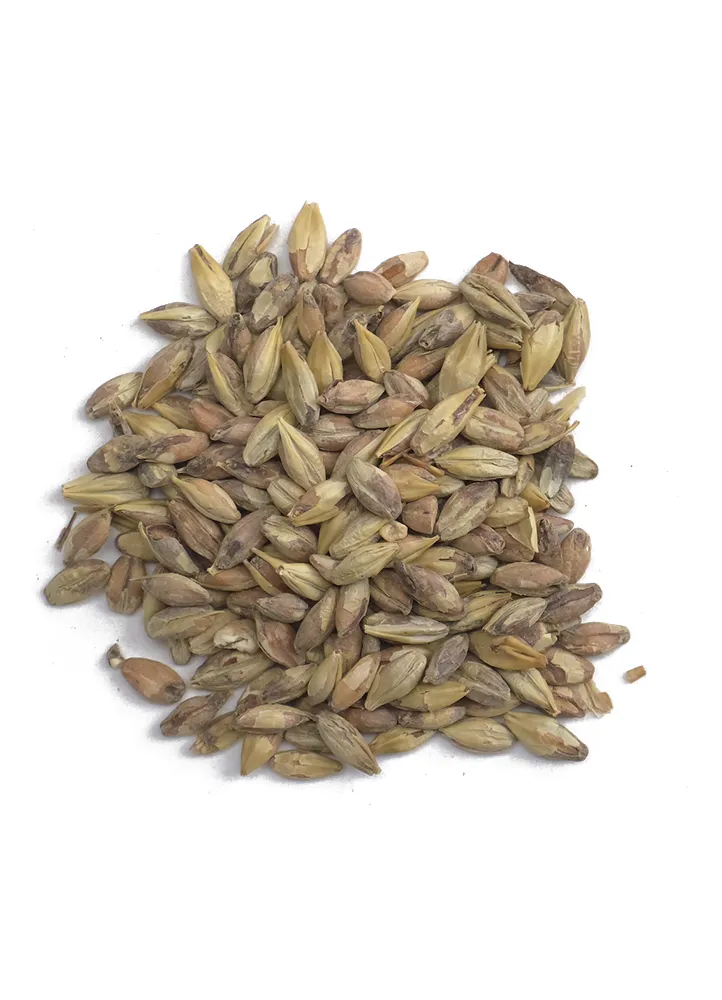 Victory (Toasted), Briess, Recipe Grains
