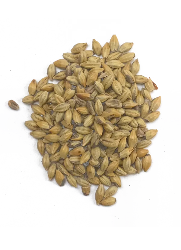 Amber Malt - Crisp Recipe Grains