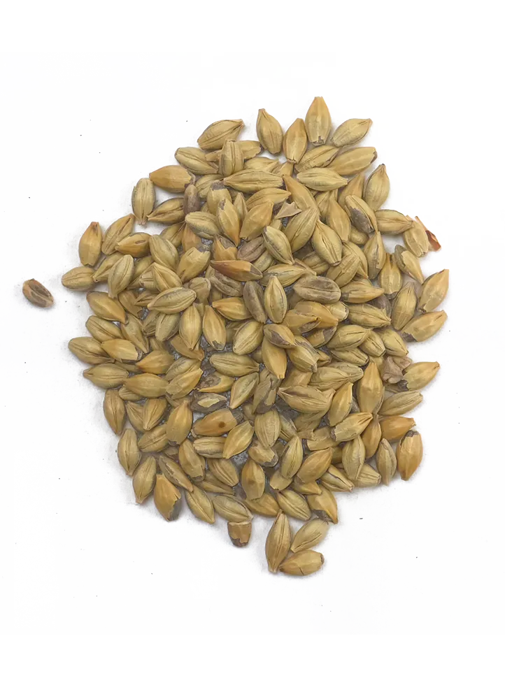 Amber Malt - Crisp Recipe Grains