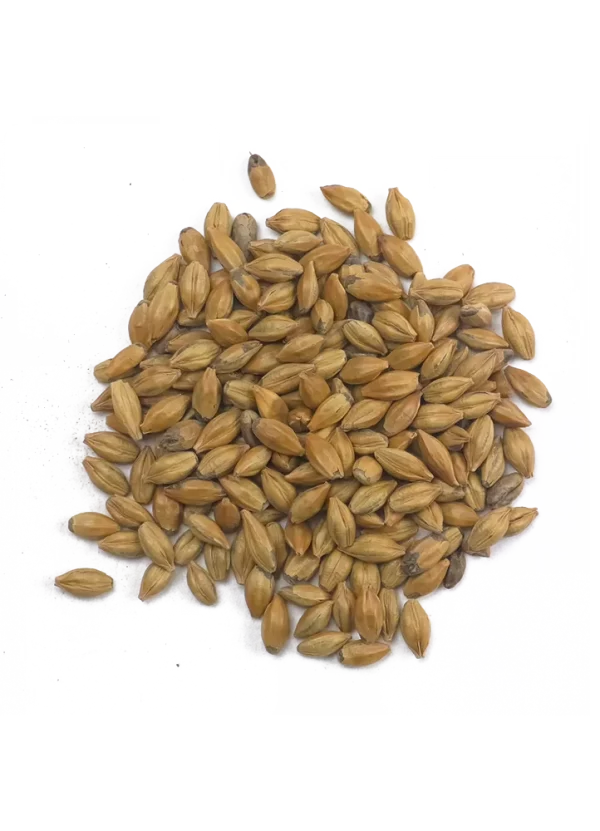 Brown Malt, Crisp, Recipe Grains
