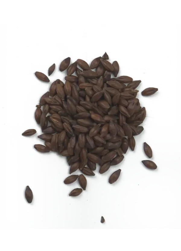 Chocolate Malt, Crisp, Recipe Grains