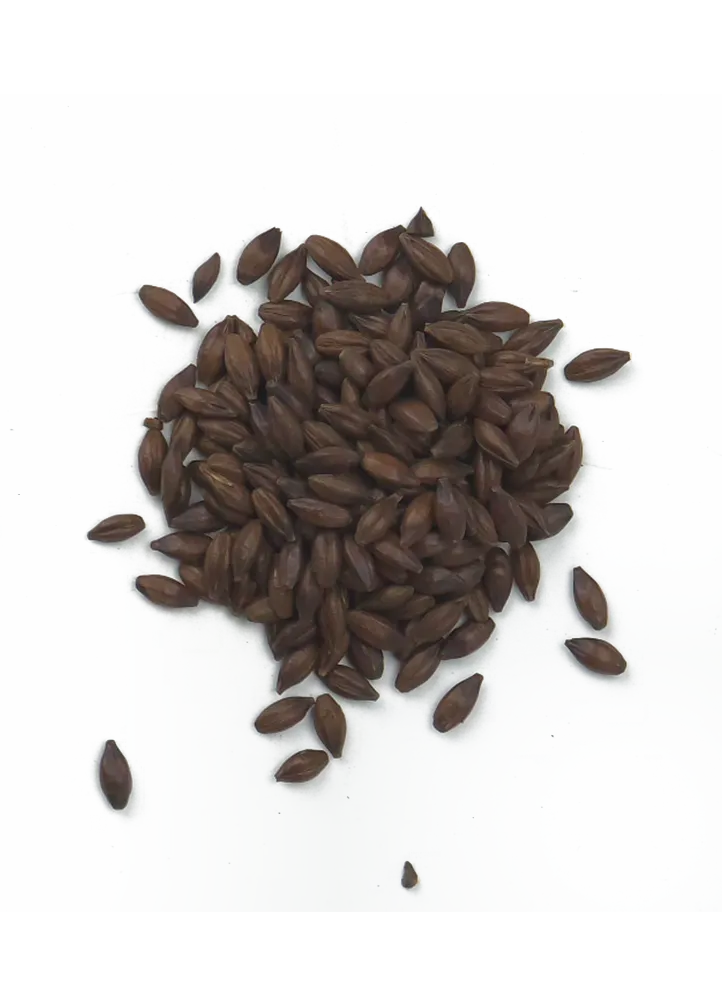 Chocolate Malt, Crisp, Recipe Grains