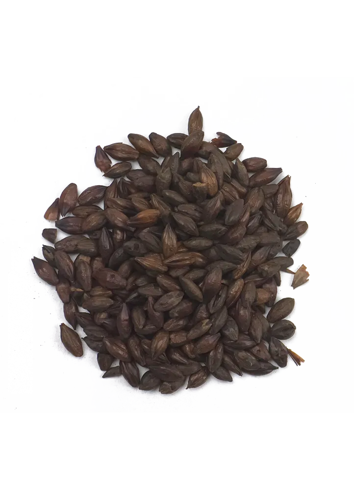 Roasted Barley Malt Crisp Recipe Grains