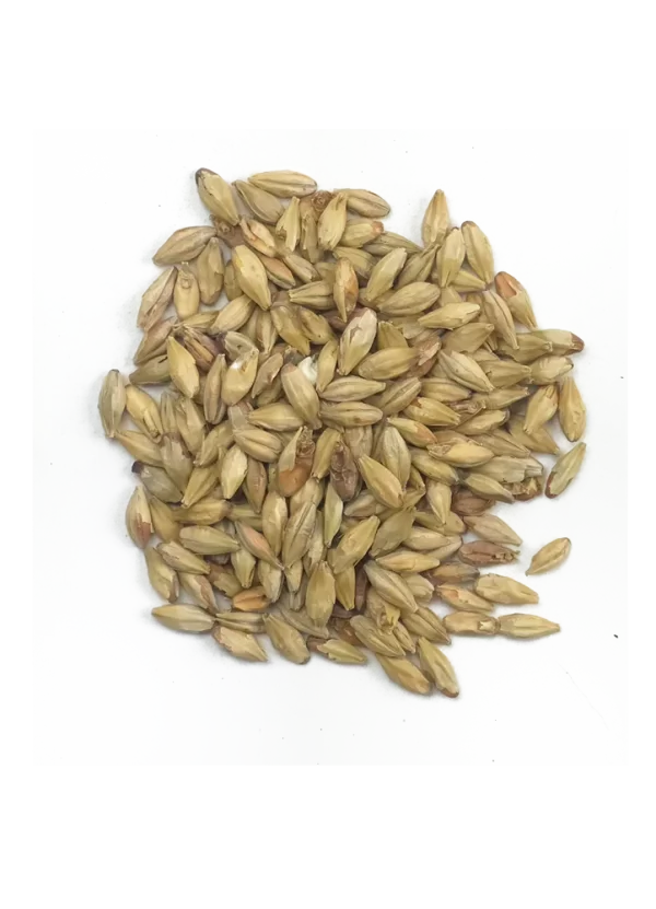 Deer Creek (PA) Dutch / Munich Malt 10L, Recipe Grains