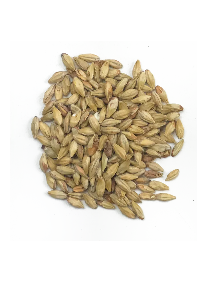 Deer Creek (PA) Dutch / Munich Malt 10L, Recipe Grains