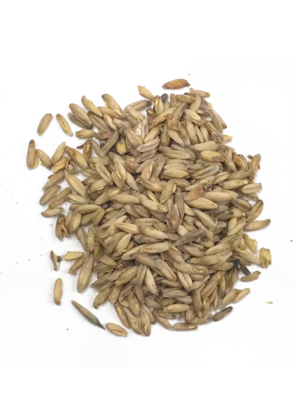 Deer Creek (PA) Pale Oat Malt, Recipe Grains