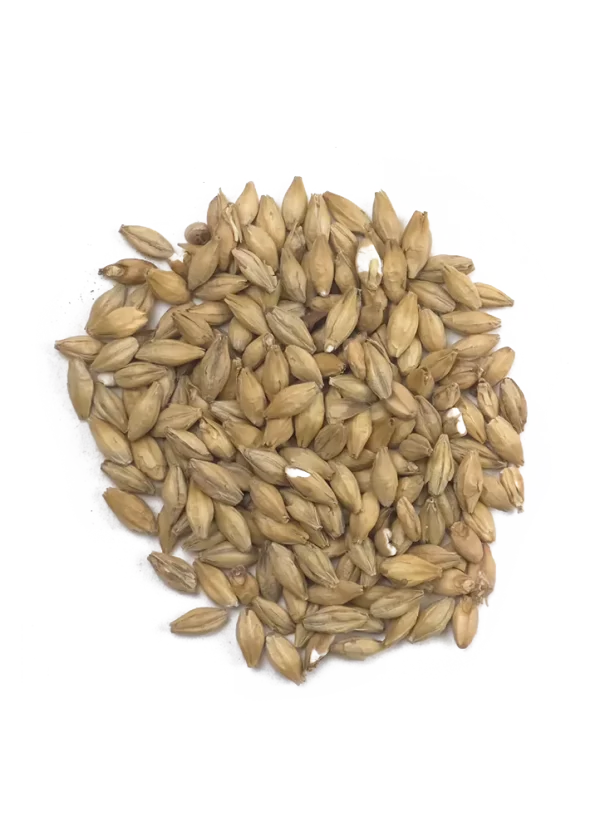 Simpsons Peat Smoked Malt Recipe Grains