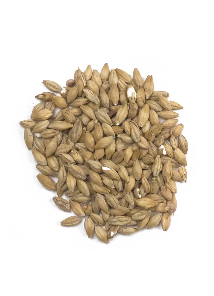 Simpsons Peat Smoked Malt Recipe Grains