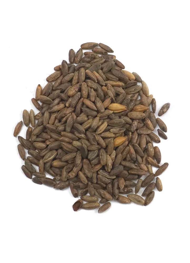 Cara Rye, Weyermann Recipe Grains