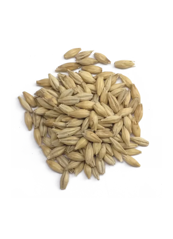 CaraFoam, Weyermann, Recipe Grains