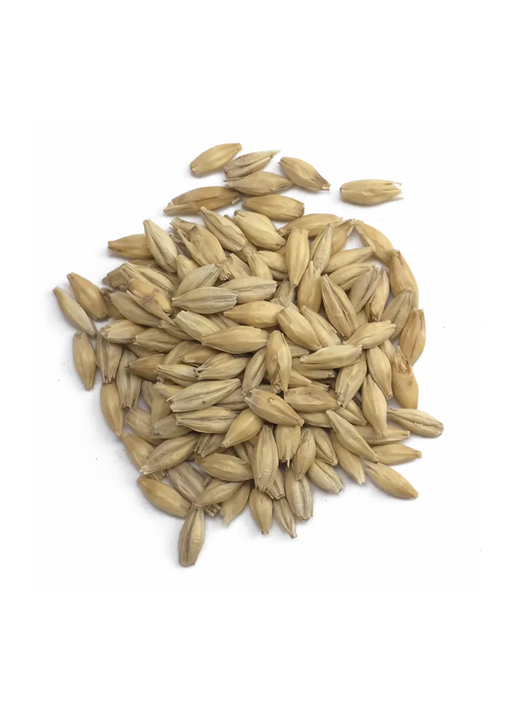 CaraFoam, Weyermann, Recipe Grains