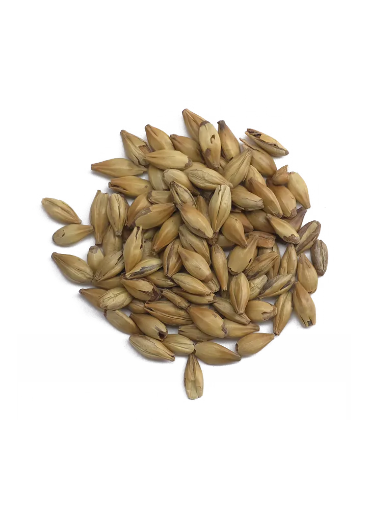 Caramunich II, Weyermann, Recipe Grains
