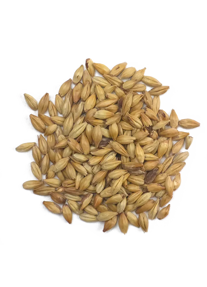 CaraRed, Weyermann, Recipe Grains