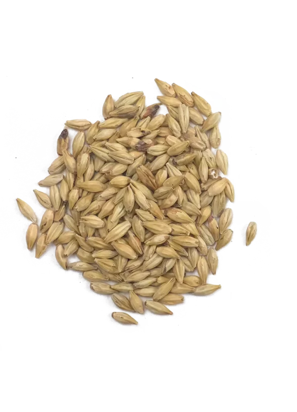Melanoidin, Weyermann, Recipe Grains