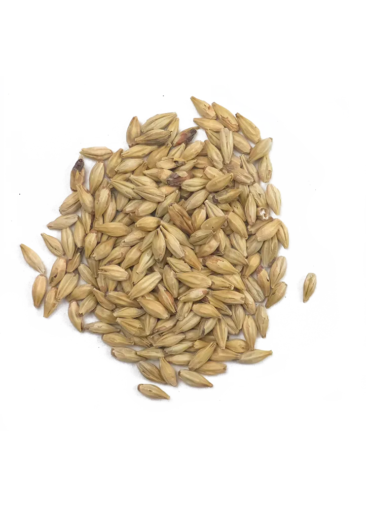 Melanoidin, Weyermann, Recipe Grains