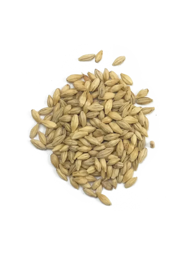 Smoked Malt, Weyermann, Recipe Grains