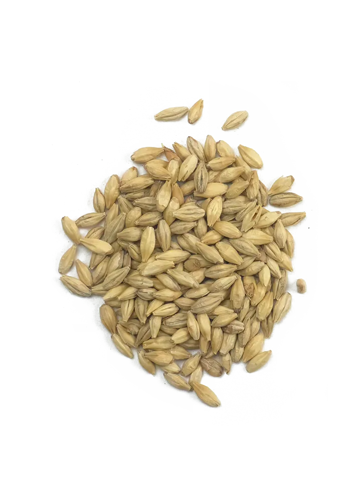 Smoked Malt, Weyermann, Recipe Grains